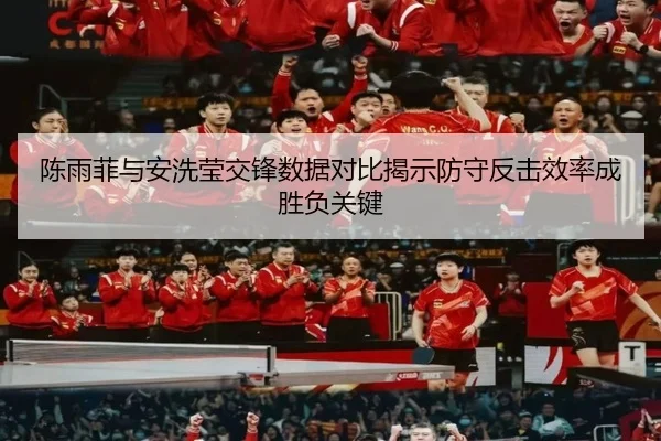 陈雨菲与安洗莹交锋数据对比揭示防守反击效率成胜负关键